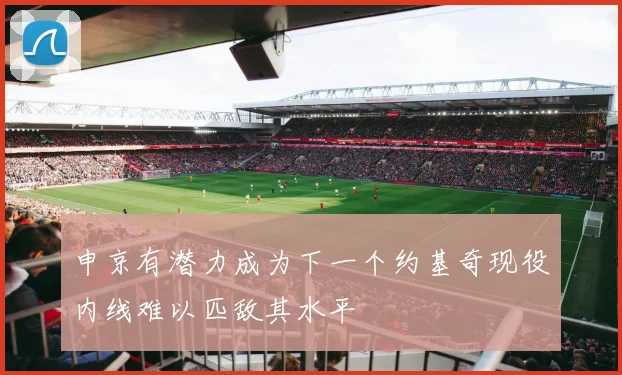 申京有潜力成为下一个约基奇现役内线难以匹敌其水平