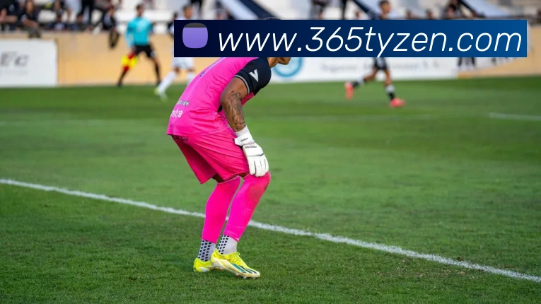 365体育平台生态图